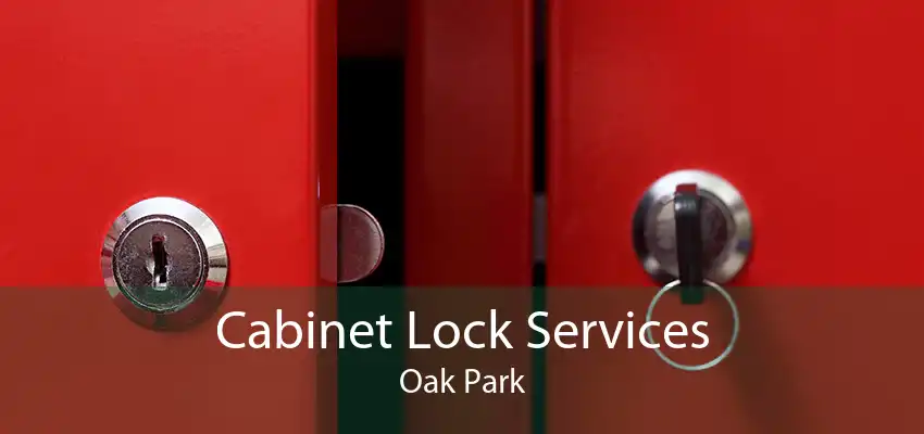 Cabinet Lock Services Oak Park