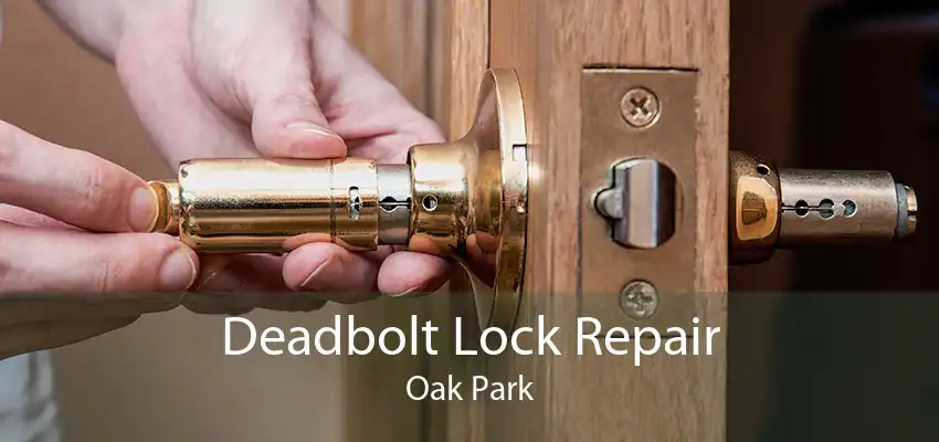 Deadbolt Lock Repair Oak Park