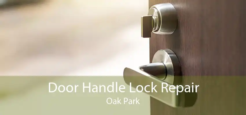 Door Handle Lock Repair Oak Park