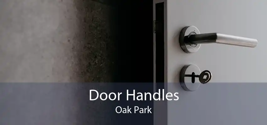 Door Handles Oak Park