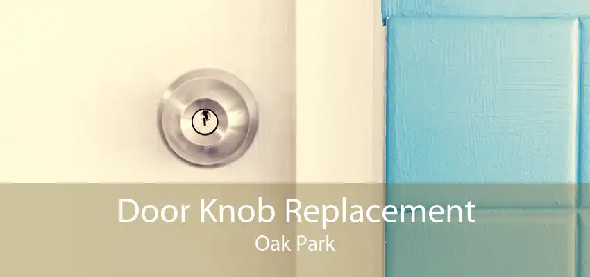 Door Knob Replacement Oak Park