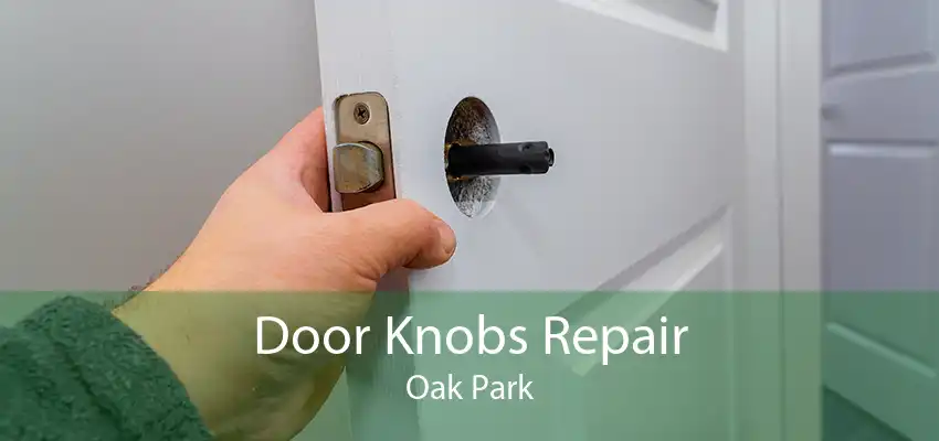 Door Knobs Repair Oak Park