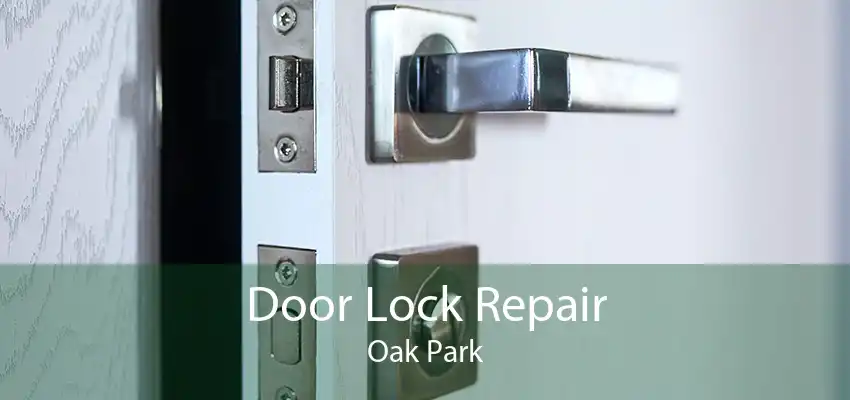 Door Lock Repair Oak Park