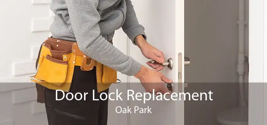 Door Lock Replacement Oak Park