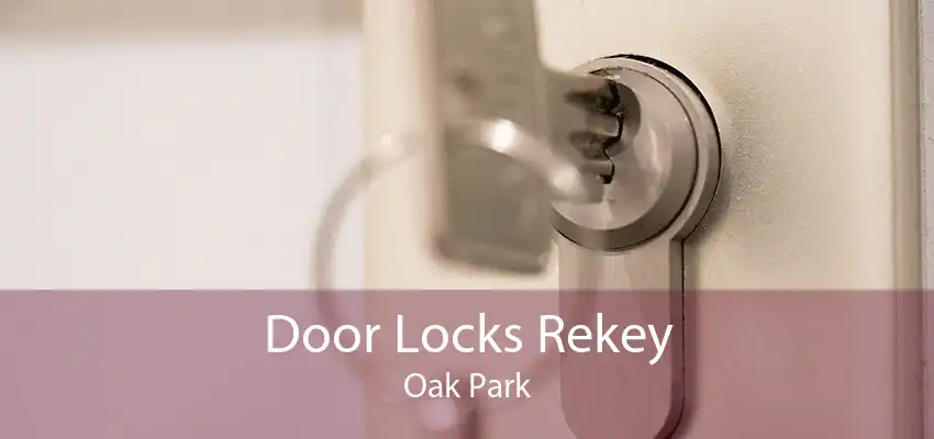 Door Locks Rekey Oak Park
