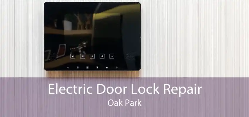 Electric Door Lock Repair Oak Park