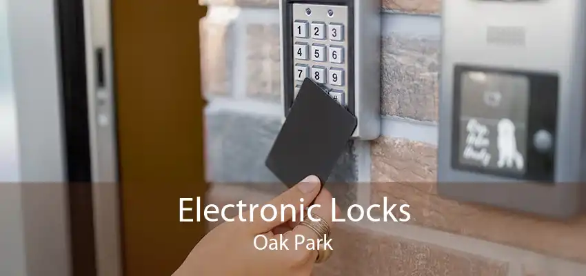 Electronic Locks Oak Park