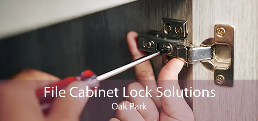 File Cabinet Lock Solutions Oak Park