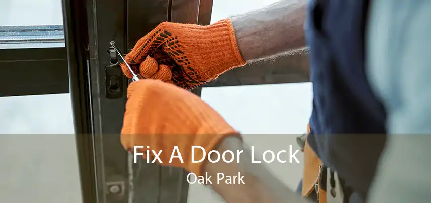 Fix A Door Lock Oak Park