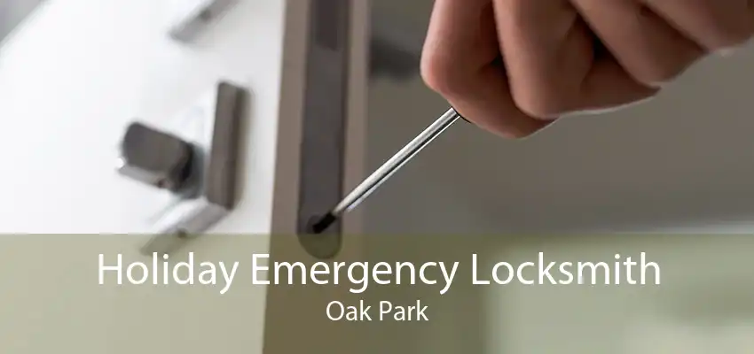 Holiday Emergency Locksmith Oak Park