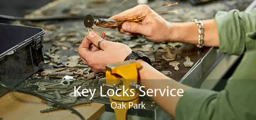 Key Locks Service Oak Park