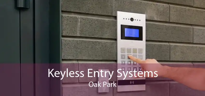 Keyless Entry Systems Oak Park