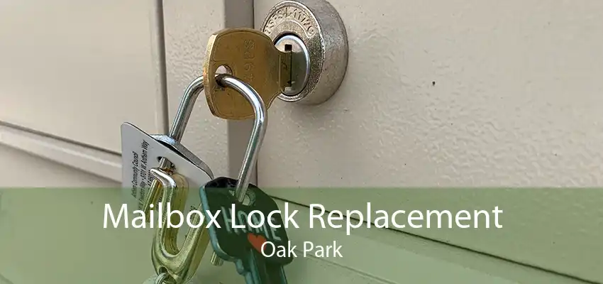 Mailbox Lock Replacement Oak Park