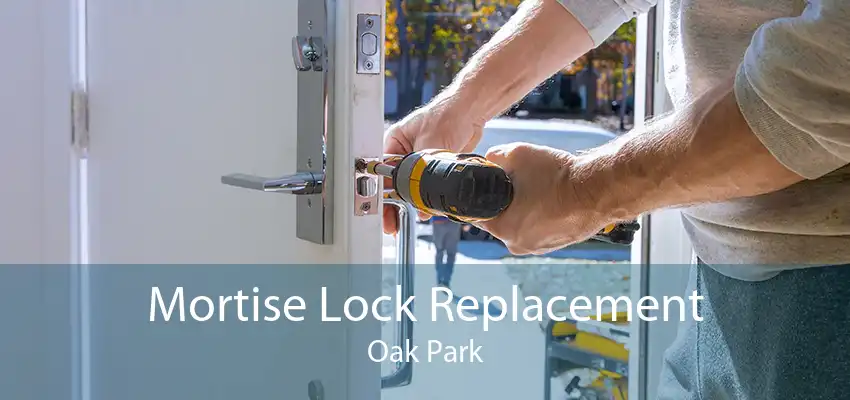 Mortise Lock Replacement Oak Park