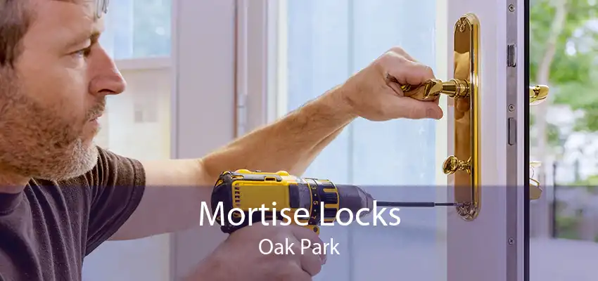 Mortise Locks Oak Park