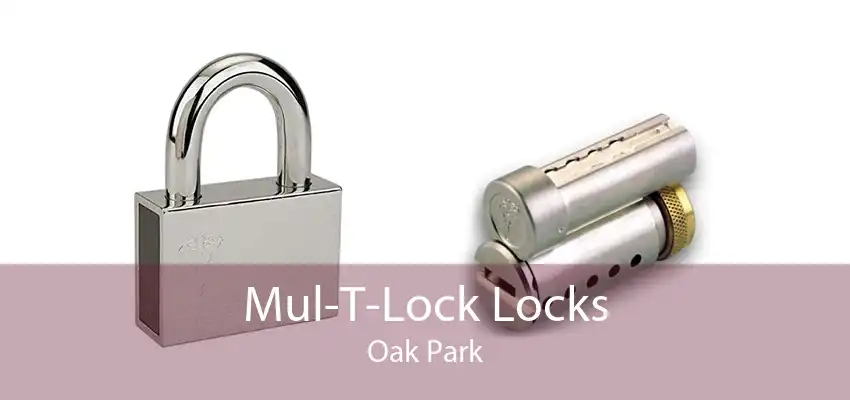 Mul-T-Lock Locks Oak Park