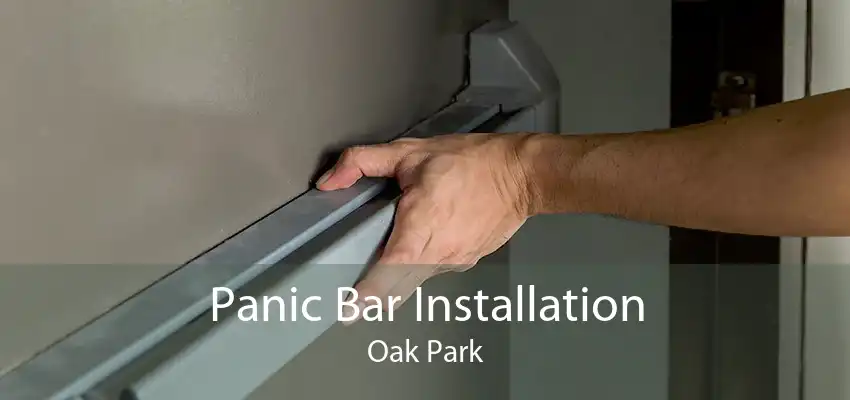 Panic Bar Installation Oak Park