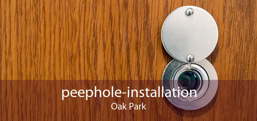 peephole-installation Oak Park