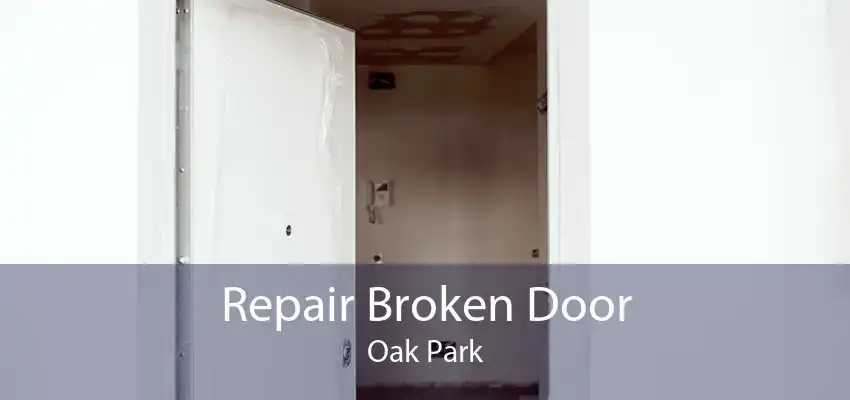 Repair Broken Door Oak Park