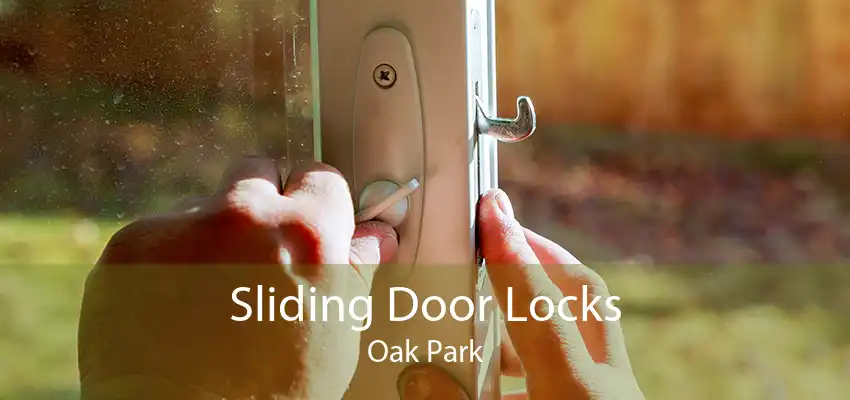Sliding Door Locks Oak Park