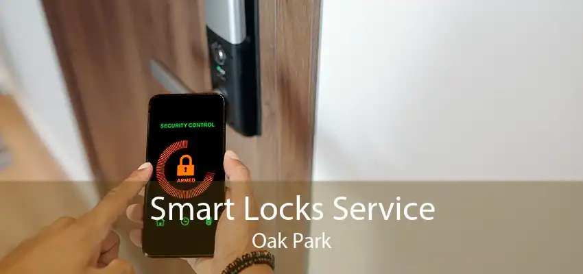 Smart Locks Service Oak Park