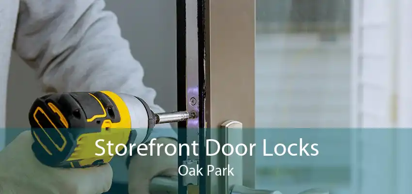 Storefront Door Locks Oak Park