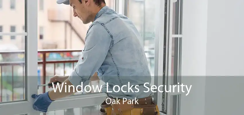Window Locks Security Oak Park